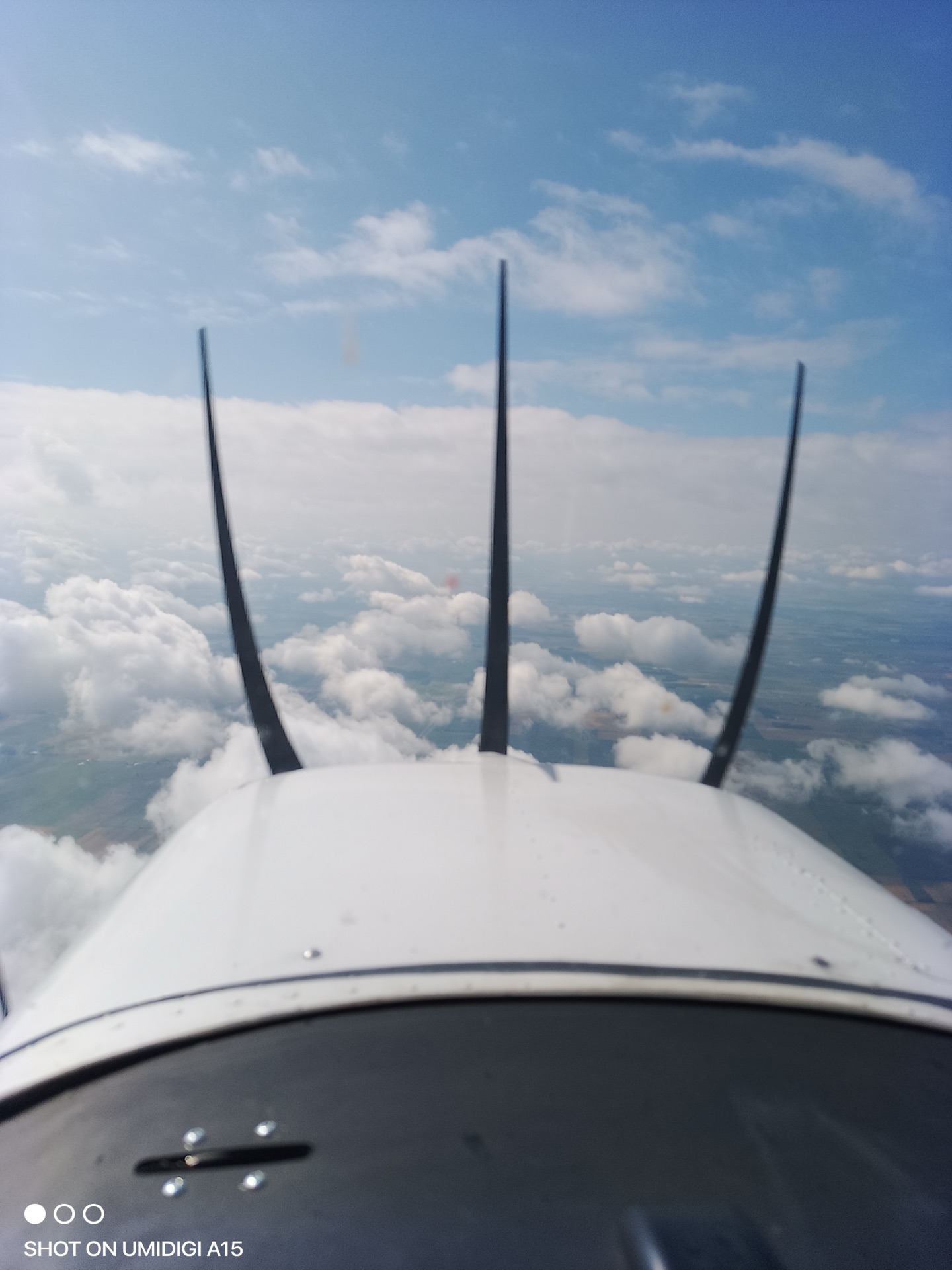 Flight photo 29